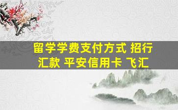 留学学费支付方式 招行汇款 平安信用卡 飞汇